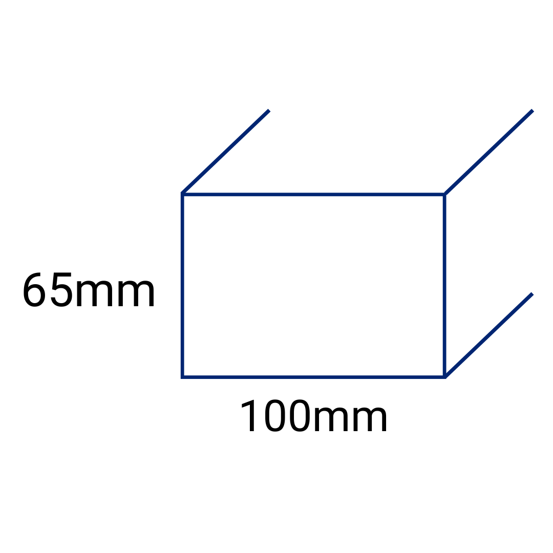 100x65
